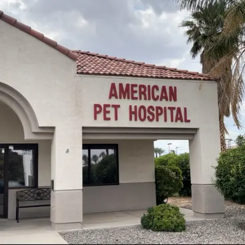 Front entrance outside of American Pet Hospital